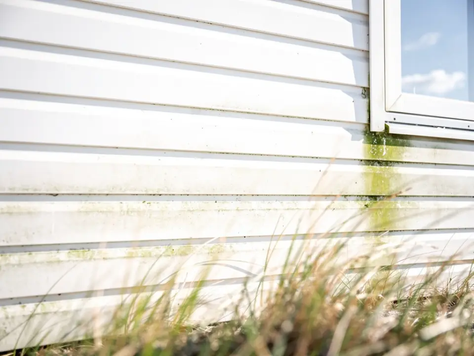 Witte kunststof beplating van een chalet met een groene waas langs de onderste planken