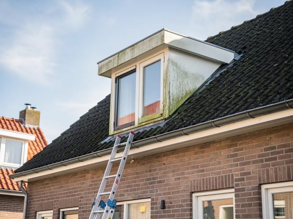Dakkapel met groene algenstrepen op de witte zijwanden en een ladder tegen de goot