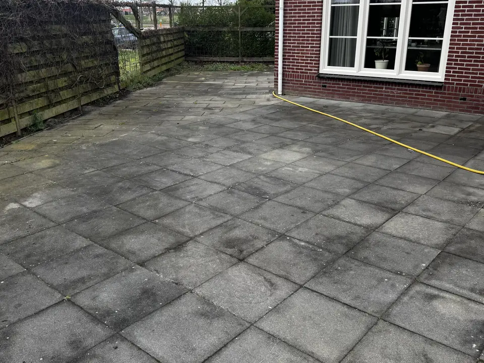 Grijs terras met groene aanslag in de voegen
