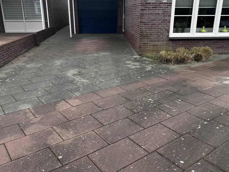 Rode en grijze bestrating met groene aanslag en vlekken