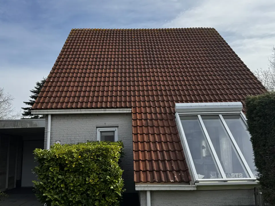 Dof bruin pannendak met mos boven een dakvenster