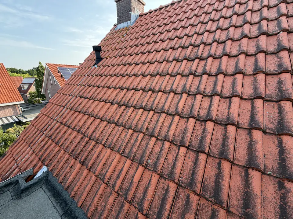 Rode pannen met zwarte aanslag en mos