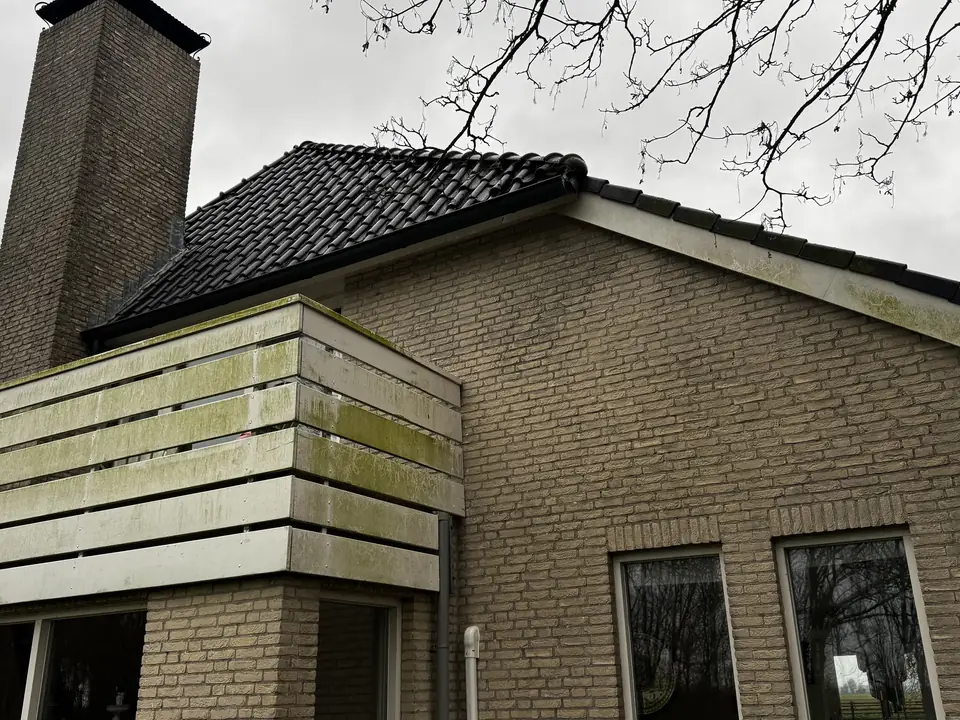 Lichte gevelbekleding met groene aanslag