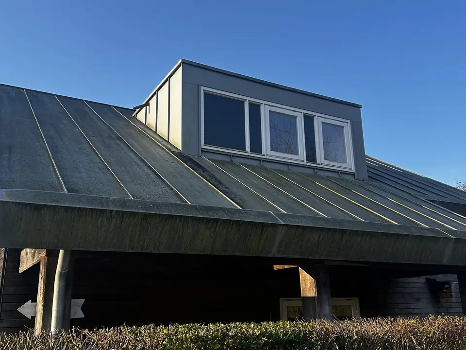Zinken dak met groene strepen en dof zink